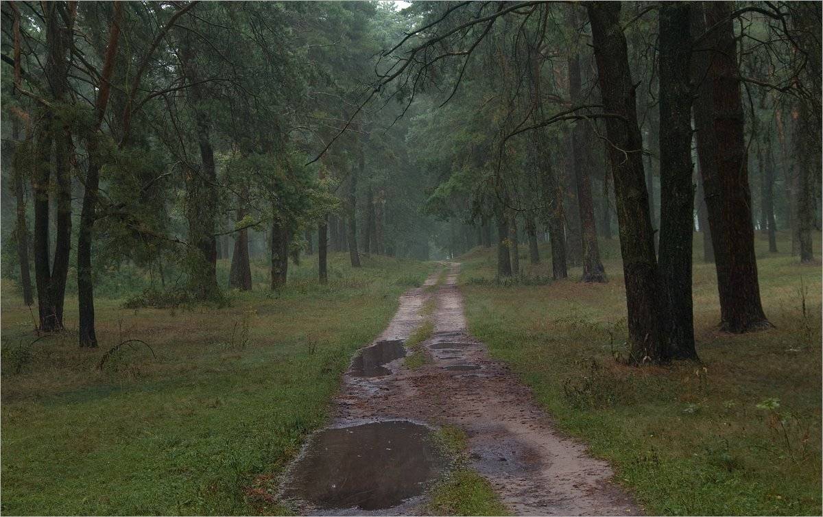 , Николай Шахманцир