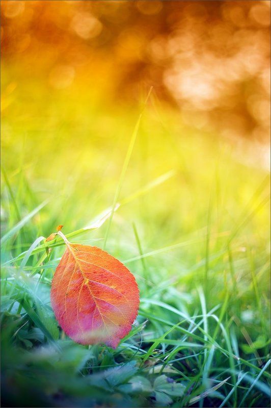 Рисуя осень фото превью