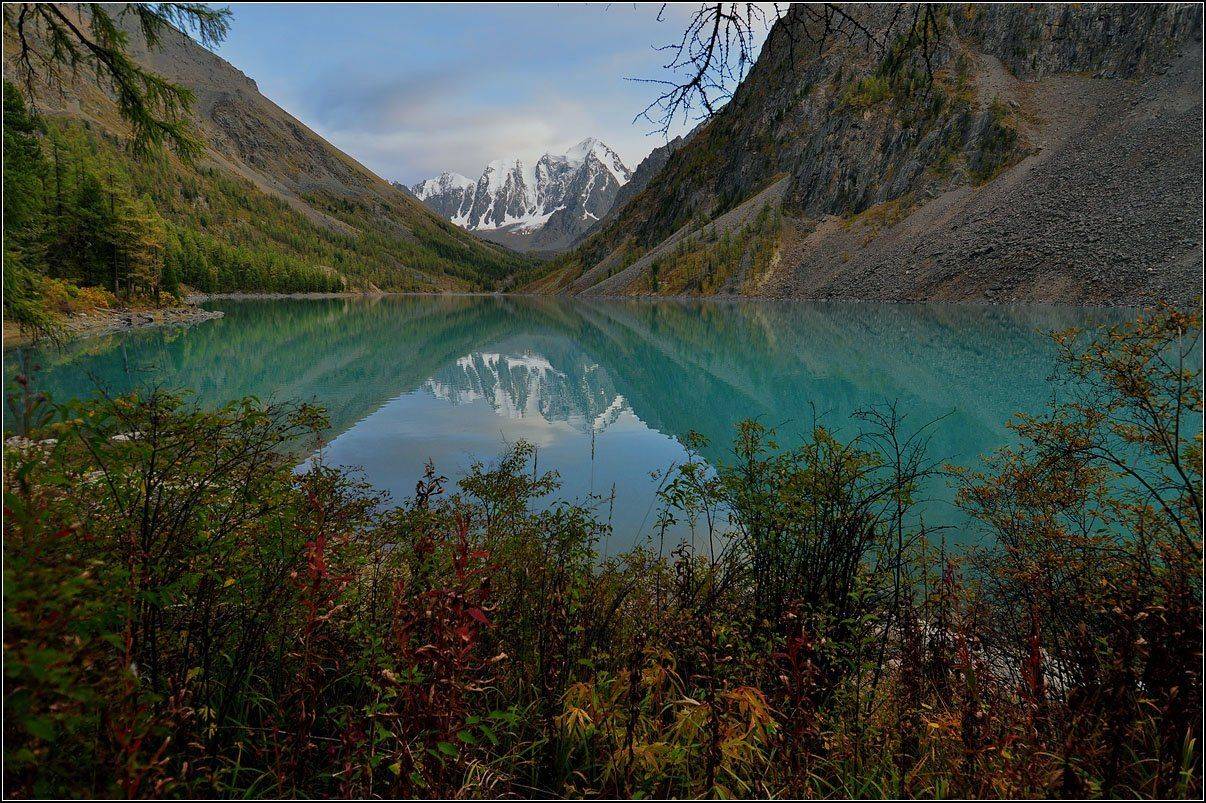 алтай, с.ч.хр. оз.н.шавлинское, АНАТОЛИЙ ДОВЫДЕНКО