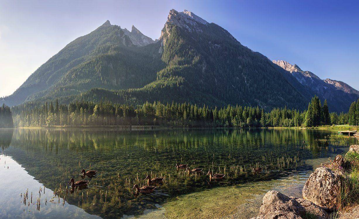 , Игорь Мелекесцев