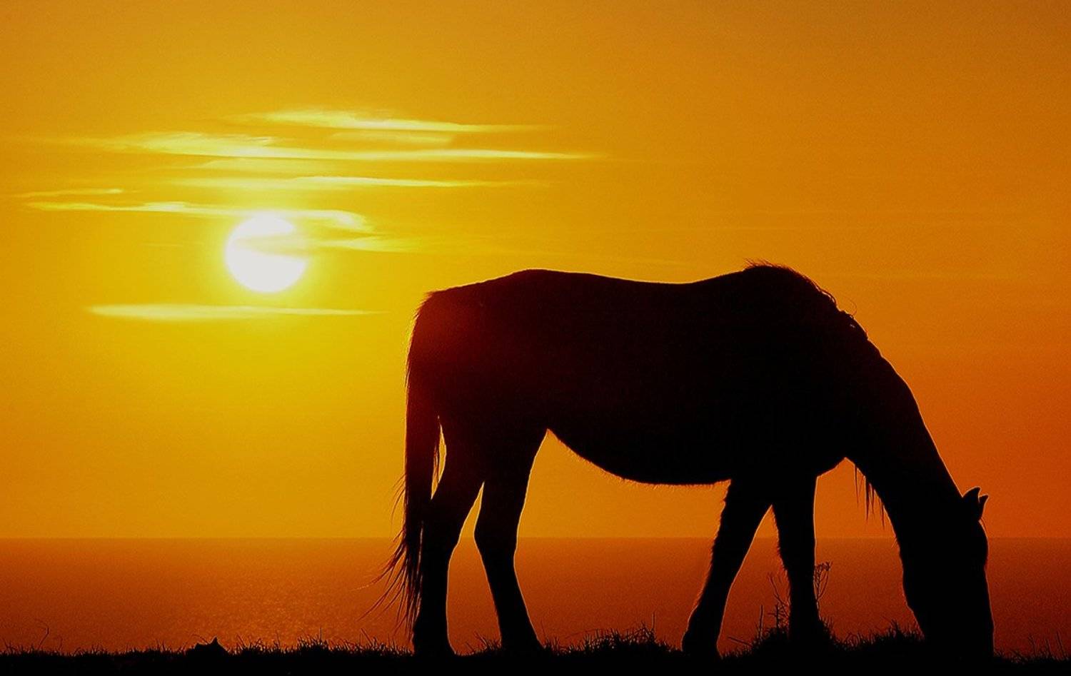 , Danny Vangenechten