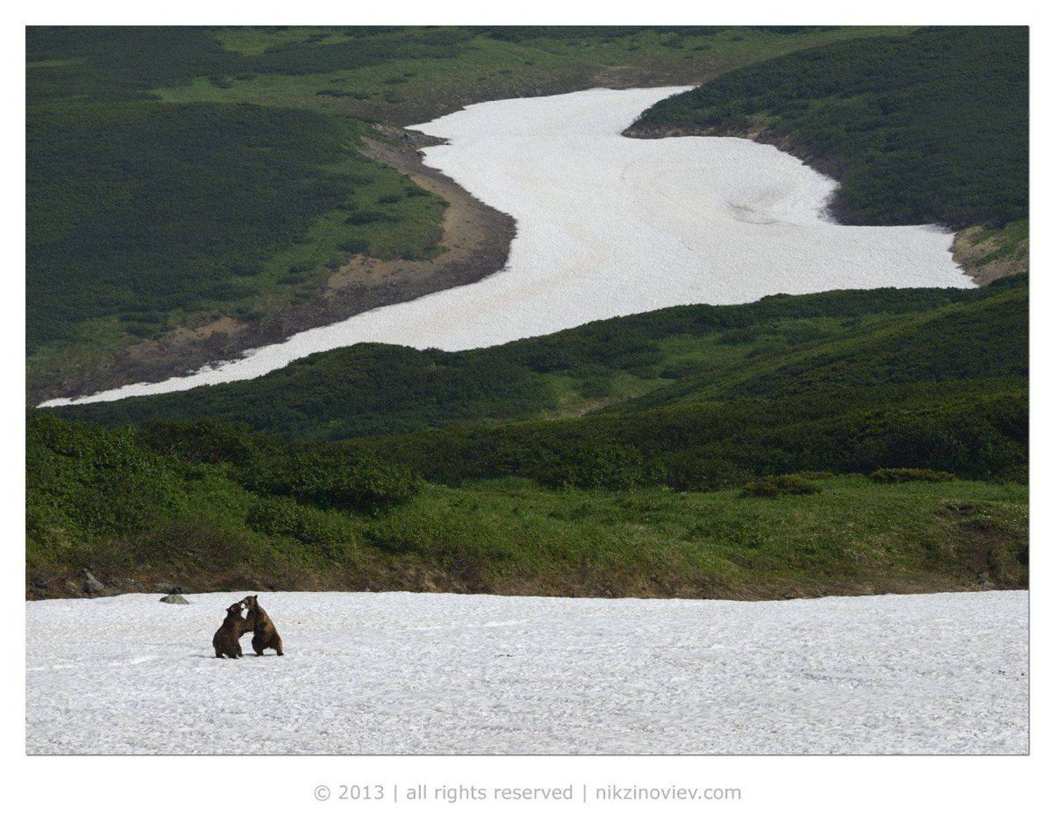 , Николай Зиновьев