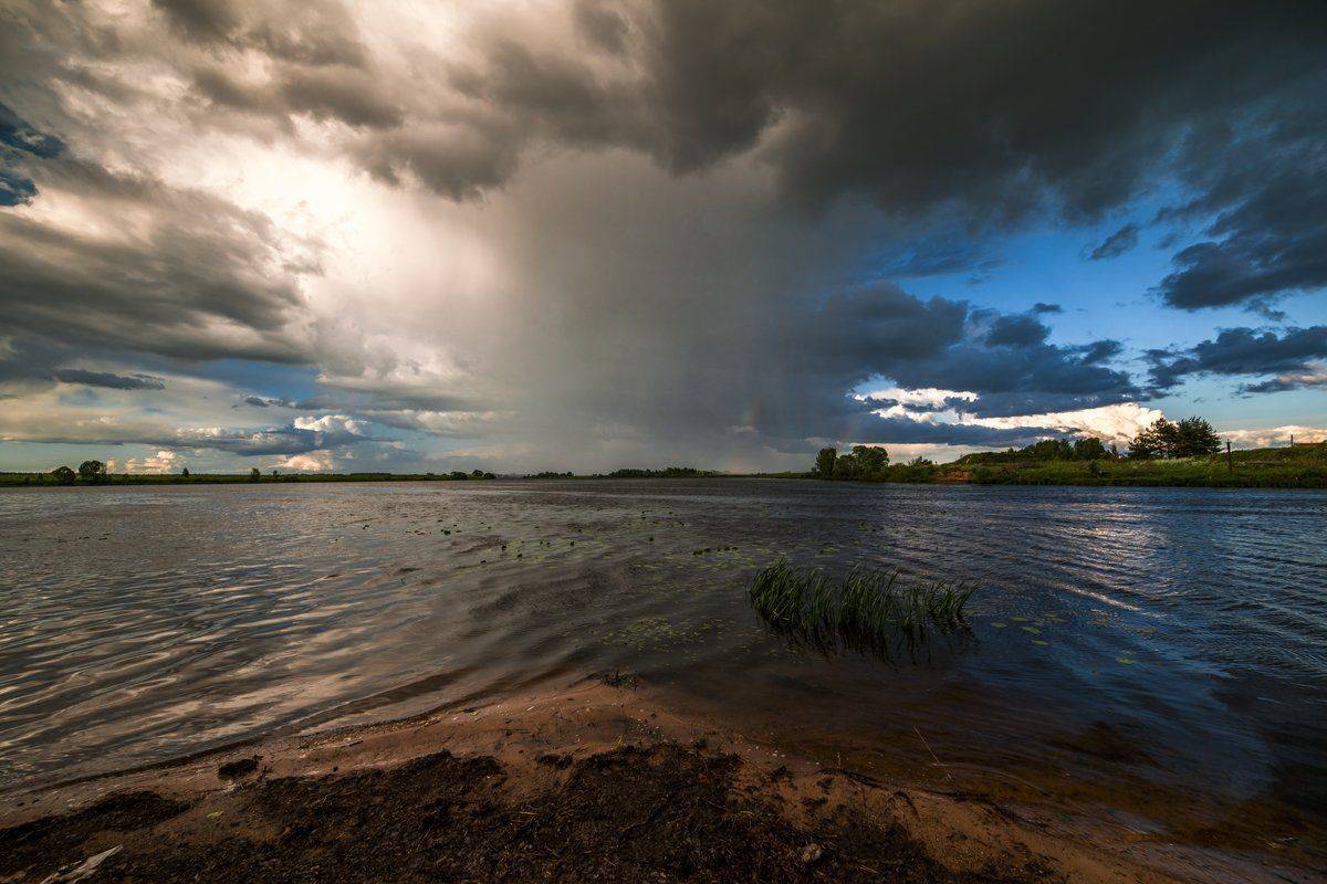 , Евгений Цветков