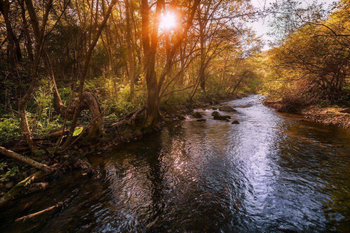 , Андрей Кровлин