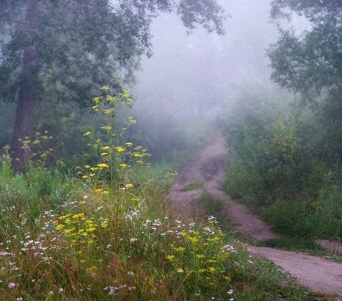 От квадрата до...