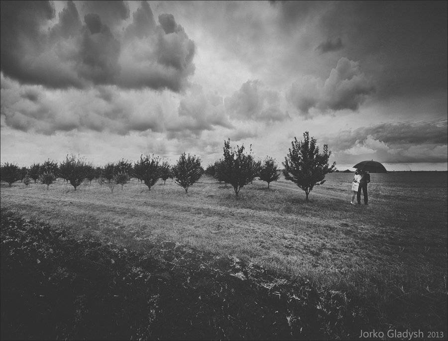 , Гладиш Юрій