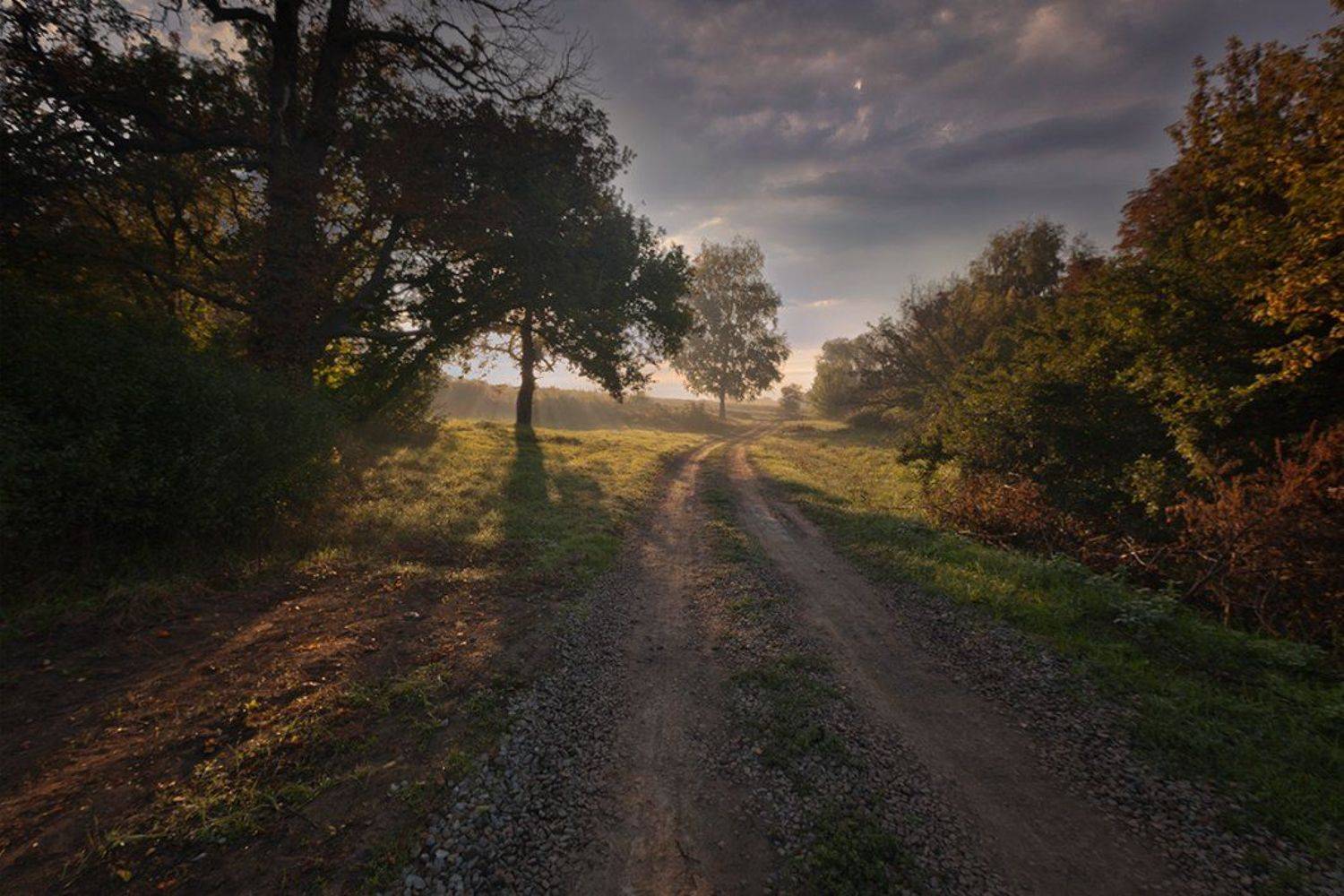 , Петр Антонович