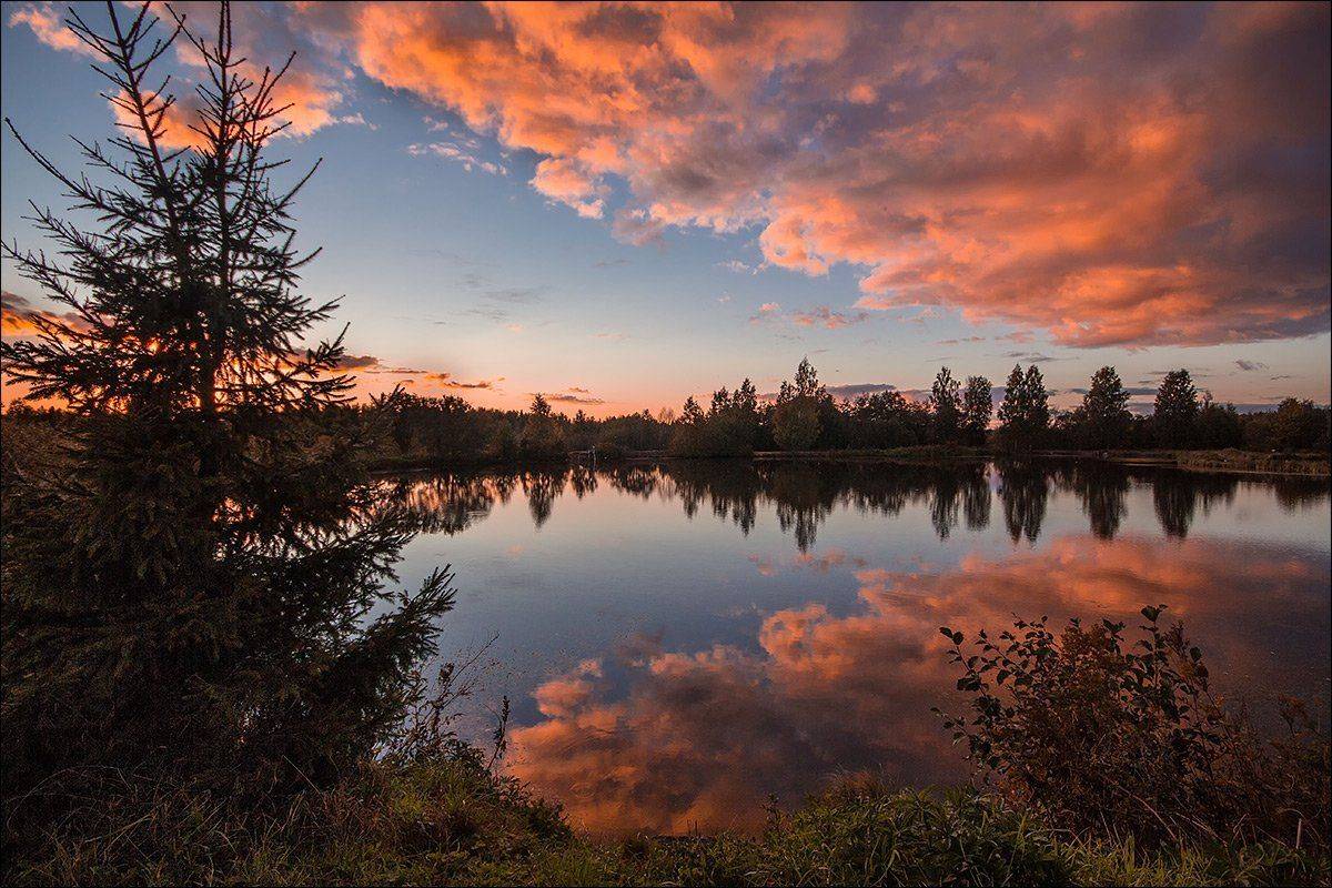 , Аркадий Белов