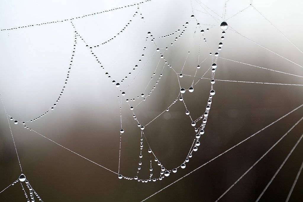 , Сергей Таланов