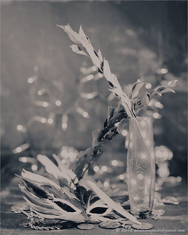 Burke & James, Ilex 215mm, Paper negative Still life.... фото превью