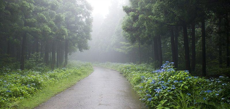 In the morning фото превью