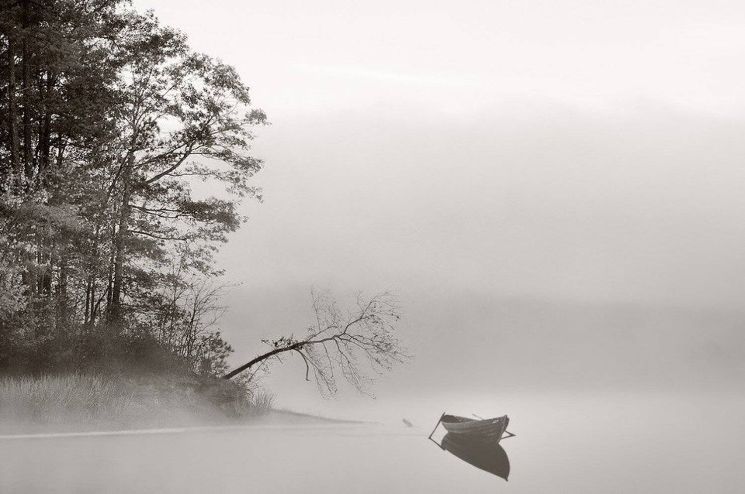 , Матвей Белый