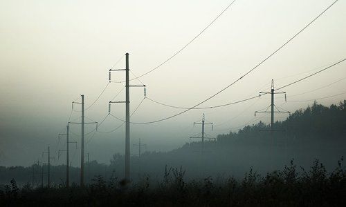 Утренняя прогулка.
