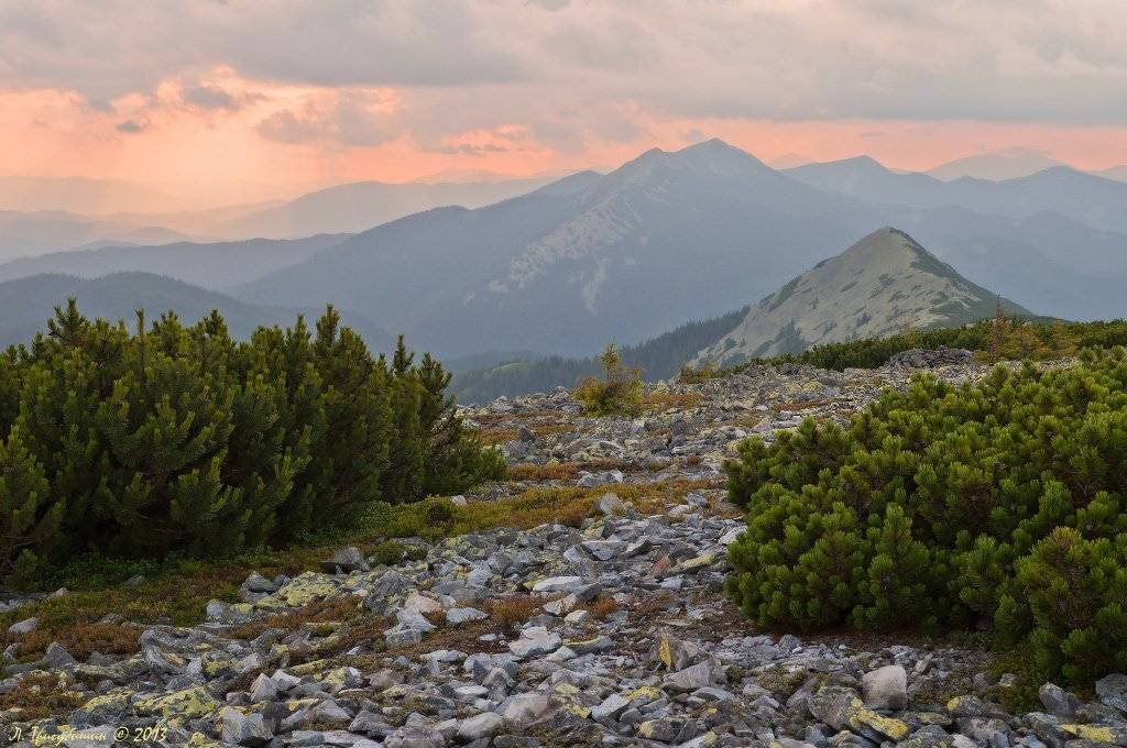 , Любомир Тригубишин