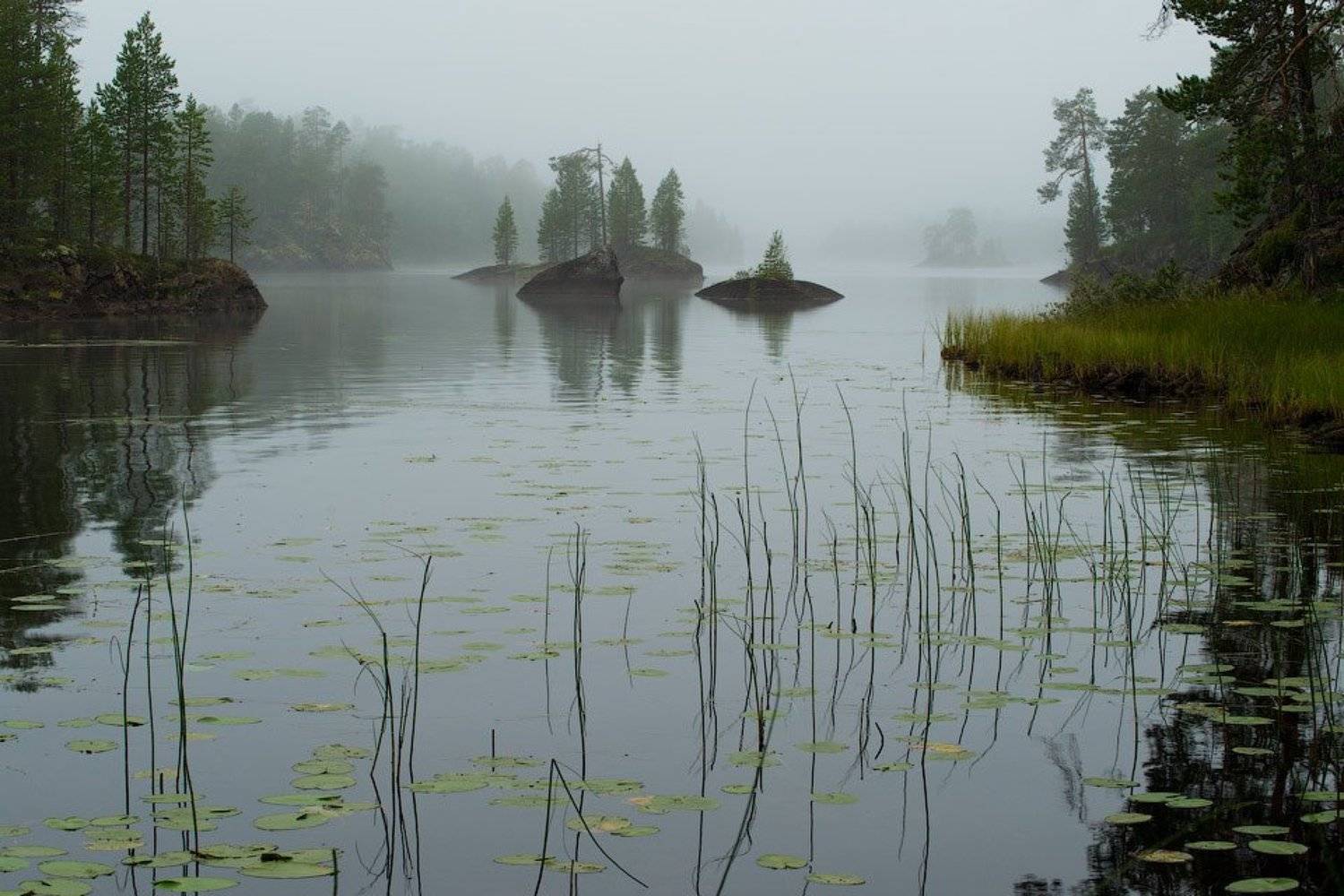северная карелия, туман, пирт-озеро, Алексей Харитонов
