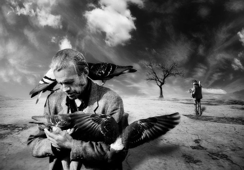 Art, Man, Sky, Tree ...and all alone with your destiny... фото превью