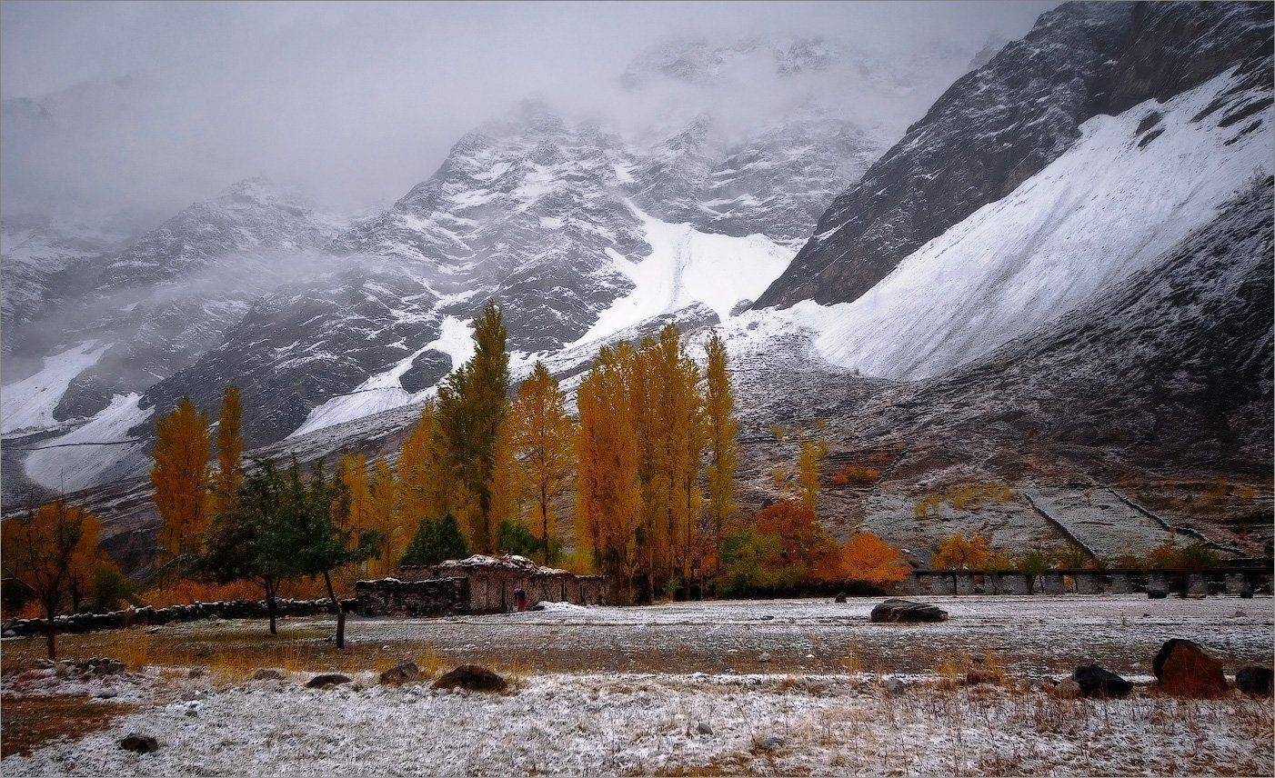 , Алексеевич