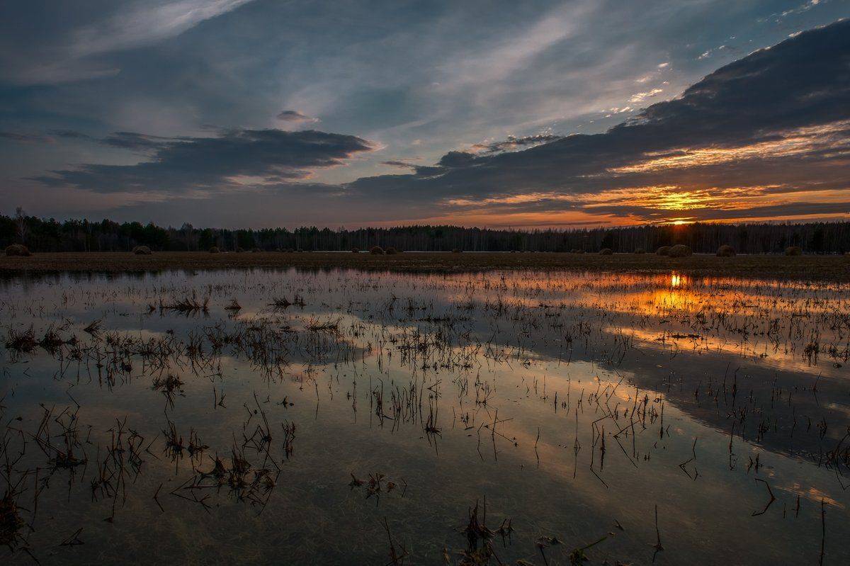 , Евгений Цветков