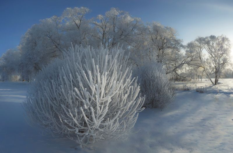питер, зима, царскоесело, царское, нижнийпарк В Питере зима) фото превью