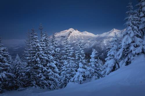 Evening in the Mountains