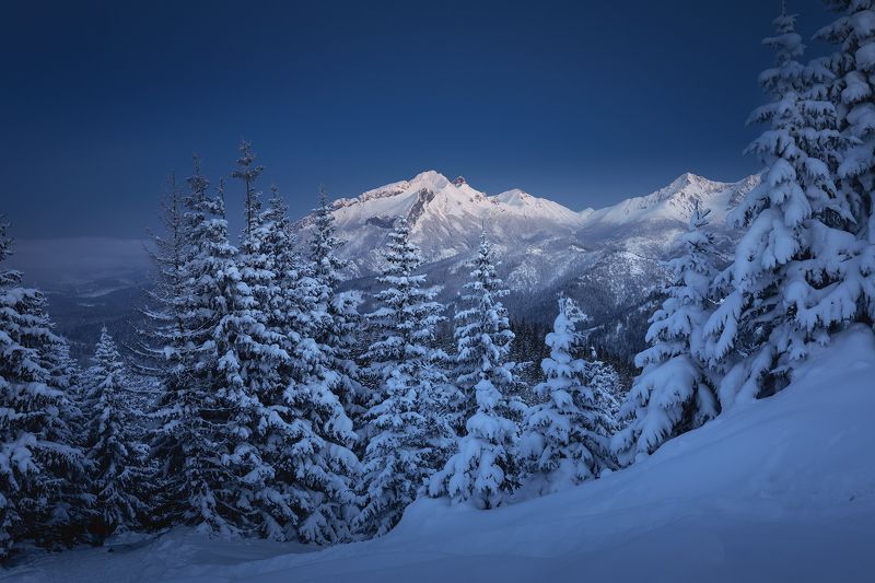 mountains, winter, poland, slovakia Evening in the Mountains фото превью