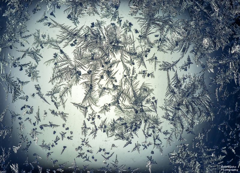 макро, природа, зима, лед, изморозь, иней, macro, nature, winter, ice, frost, hoarfrost Трихиты фото превью