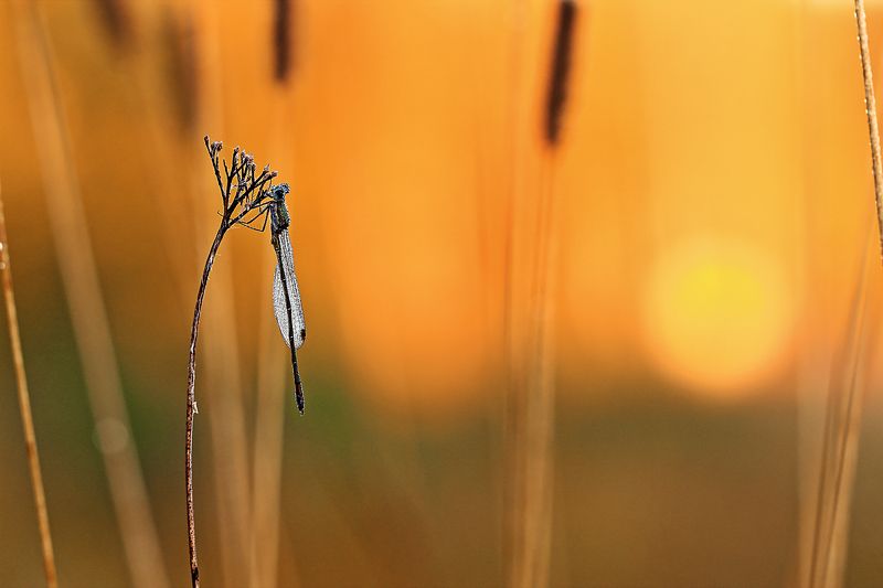 Сентябрь фото превью