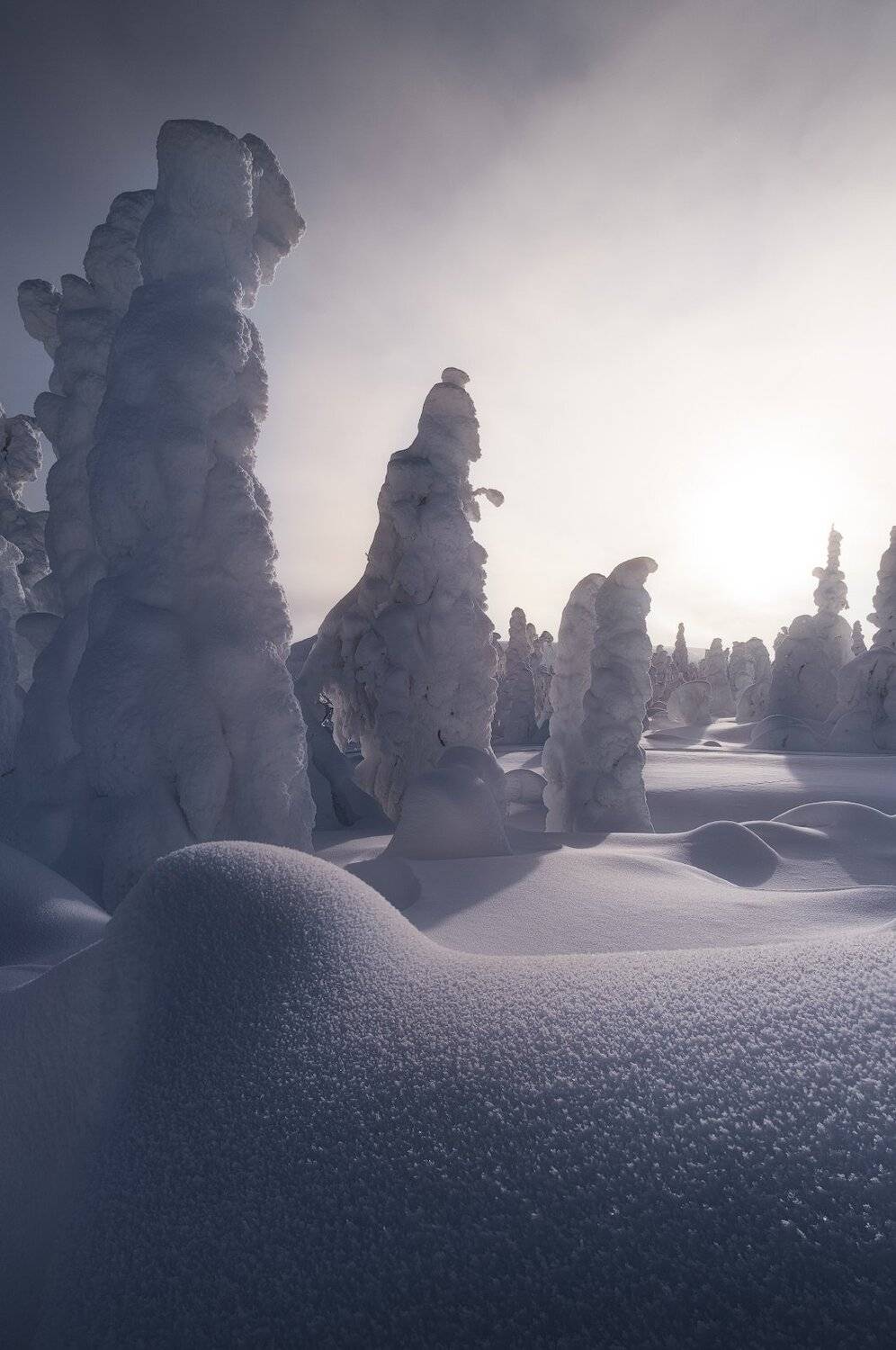 рассвет, главный уральский хребет, гух, зима, урал, северный урал, Глеб Желтов