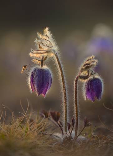 А в руках его горит...маленький фонарик!