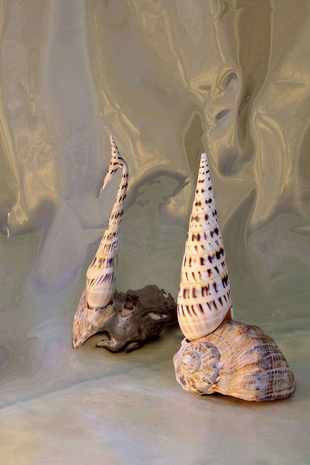 , Борис Резванцев