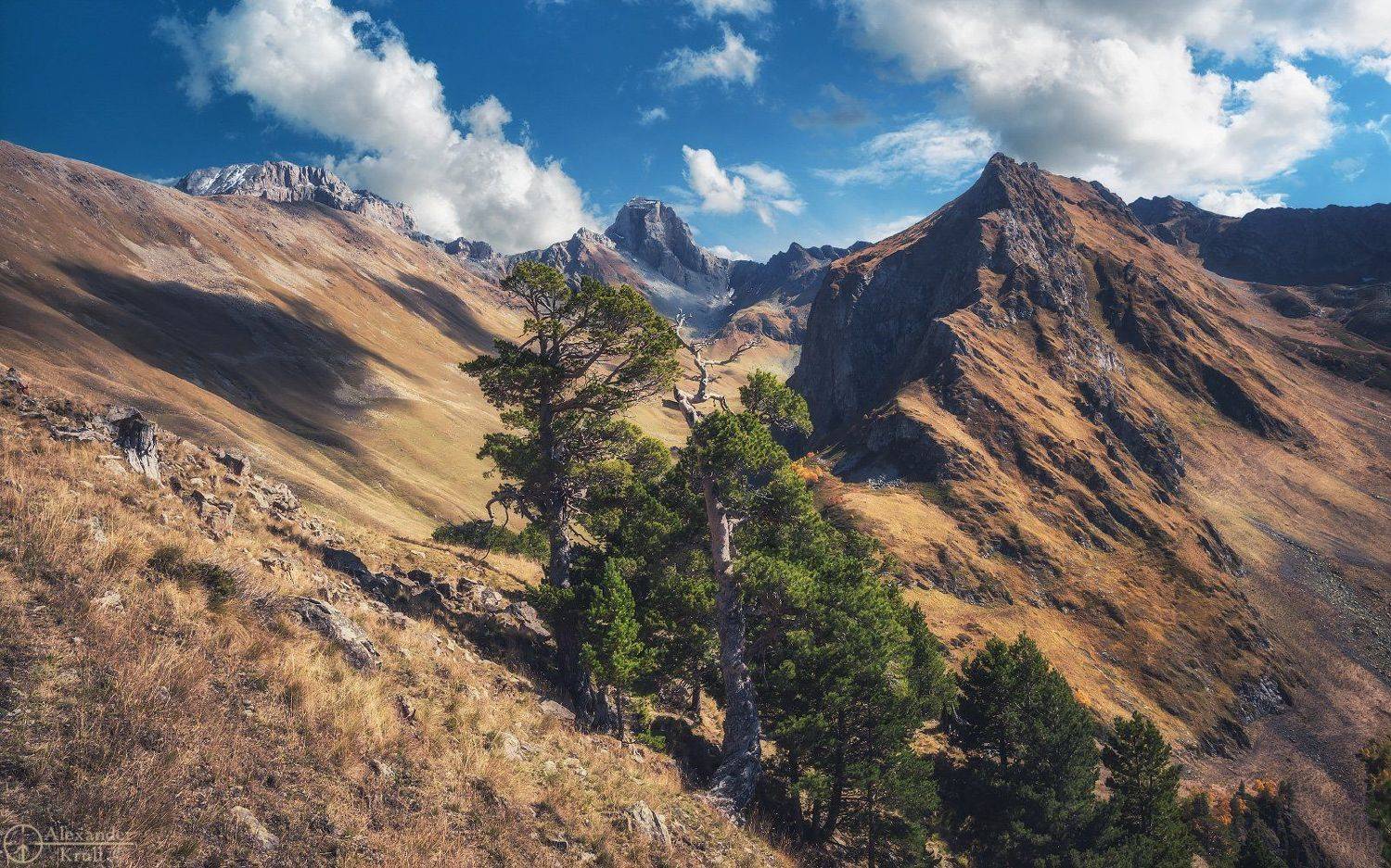 , Александр Круль