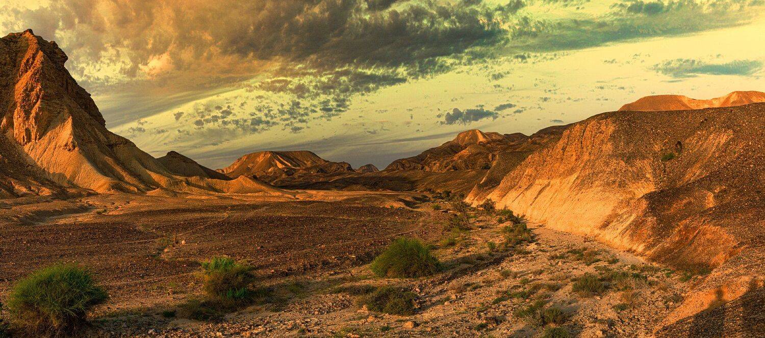 , Евгений Шварцман