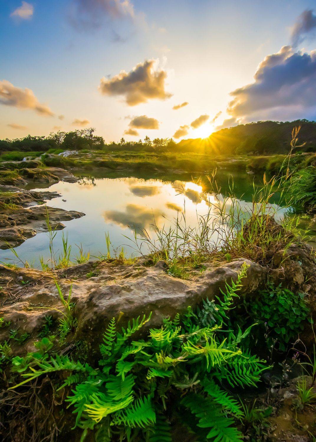 , Khalid Al-Wadhaihi