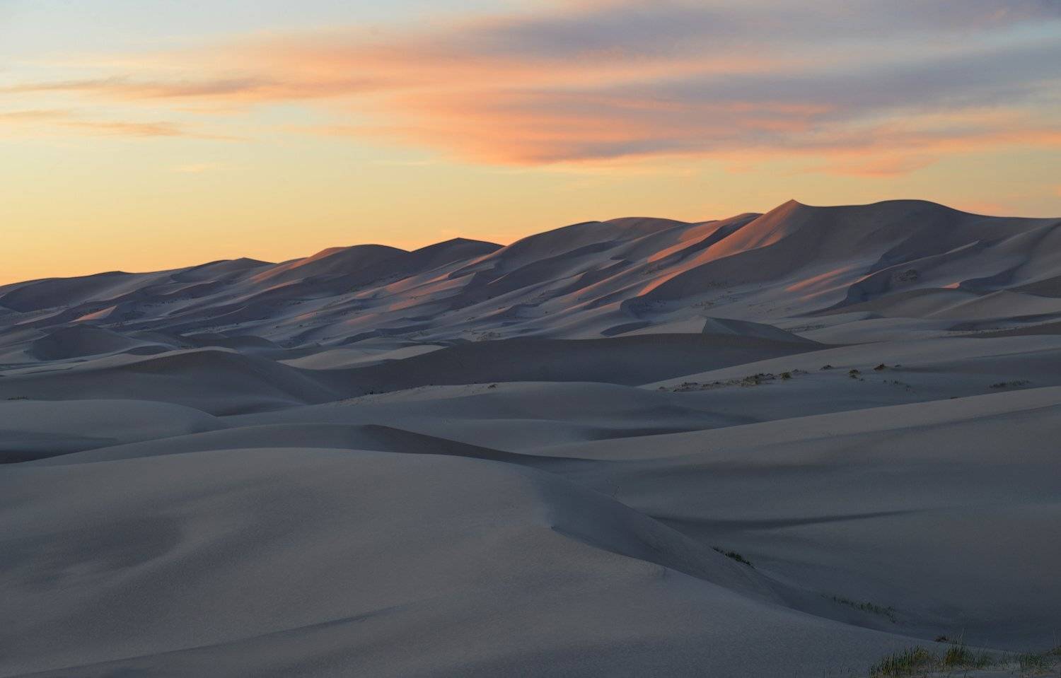 Монголия, Хонгорынэлс, Хонгорын, Кутыгин Эдуард