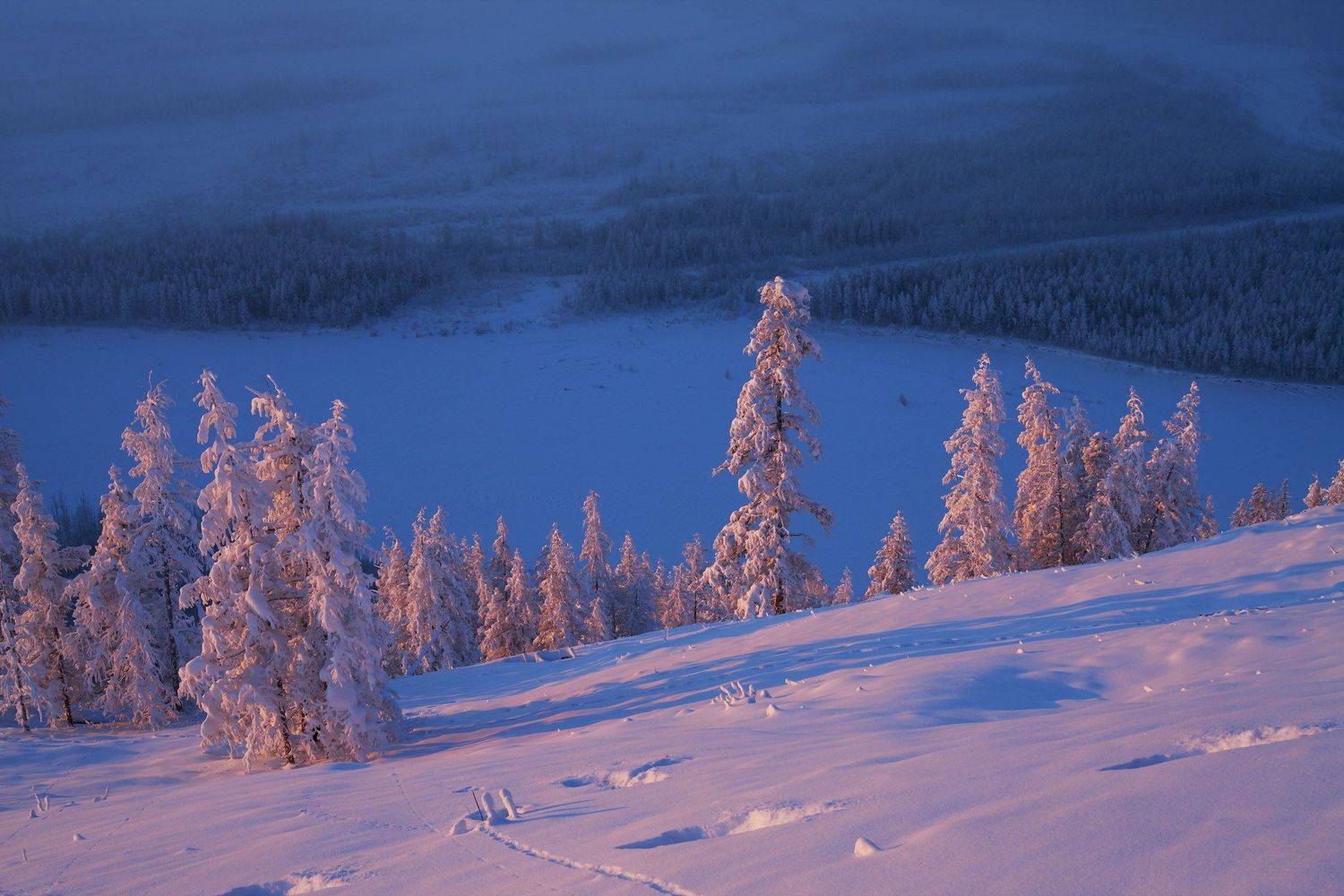 Фототуры с Владимиром Рябковым, Якутия, зима, #topnature #russpasibo #magic_shots #lovelyRussia #sunset_vision #exclusive_sky  #exclusive_shots #loves_russia2 #photoarena_nature #nature_sultans #nature_perfection #rsa_sky #rsa_sunset #photorussia #rsa_nat, Владимир Рябков