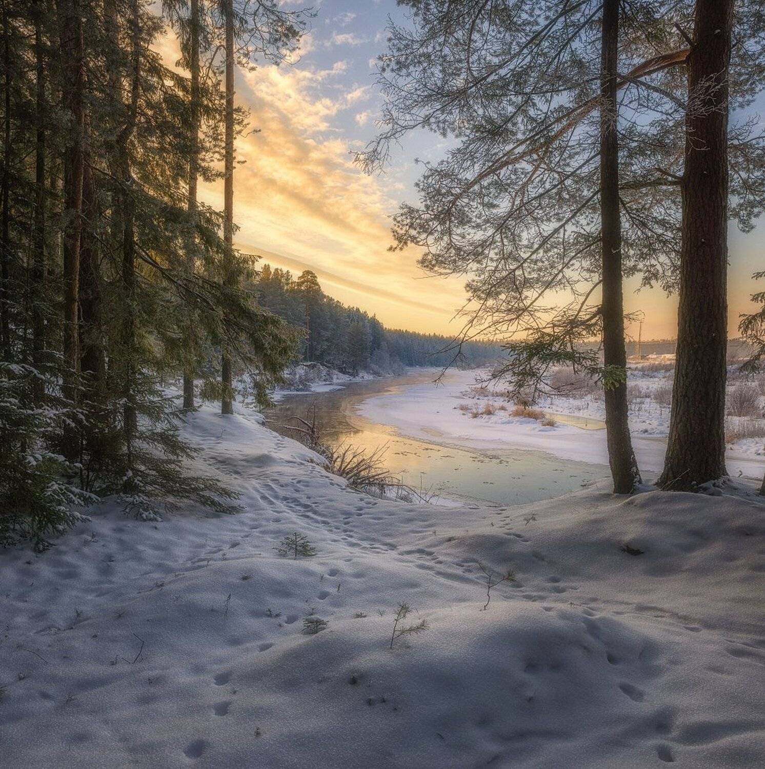 , Устюжанин Михаил