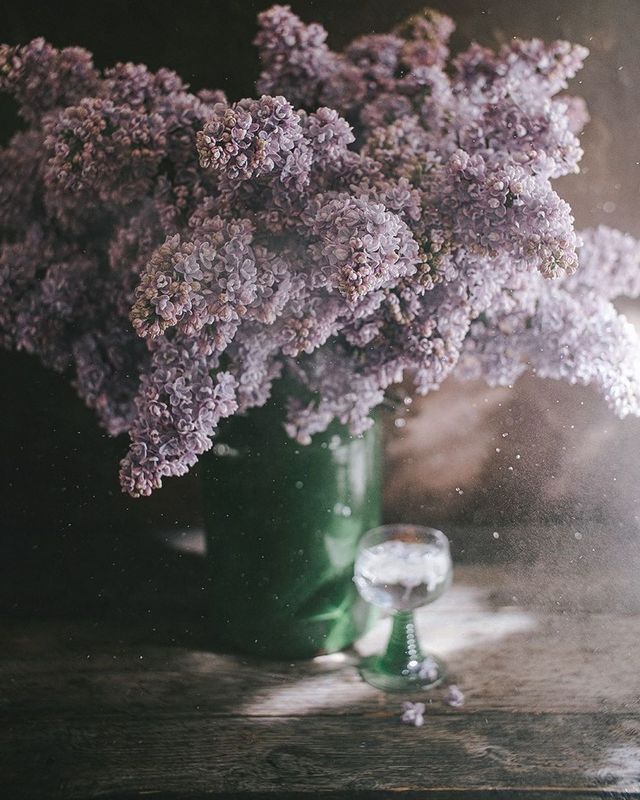 букет, лето, свет, цветы, сирень  фото превью