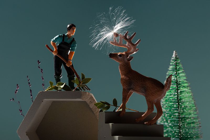 Олень фото превью