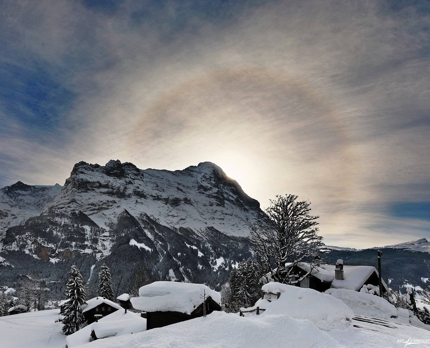 swiss, Матвеев Николай