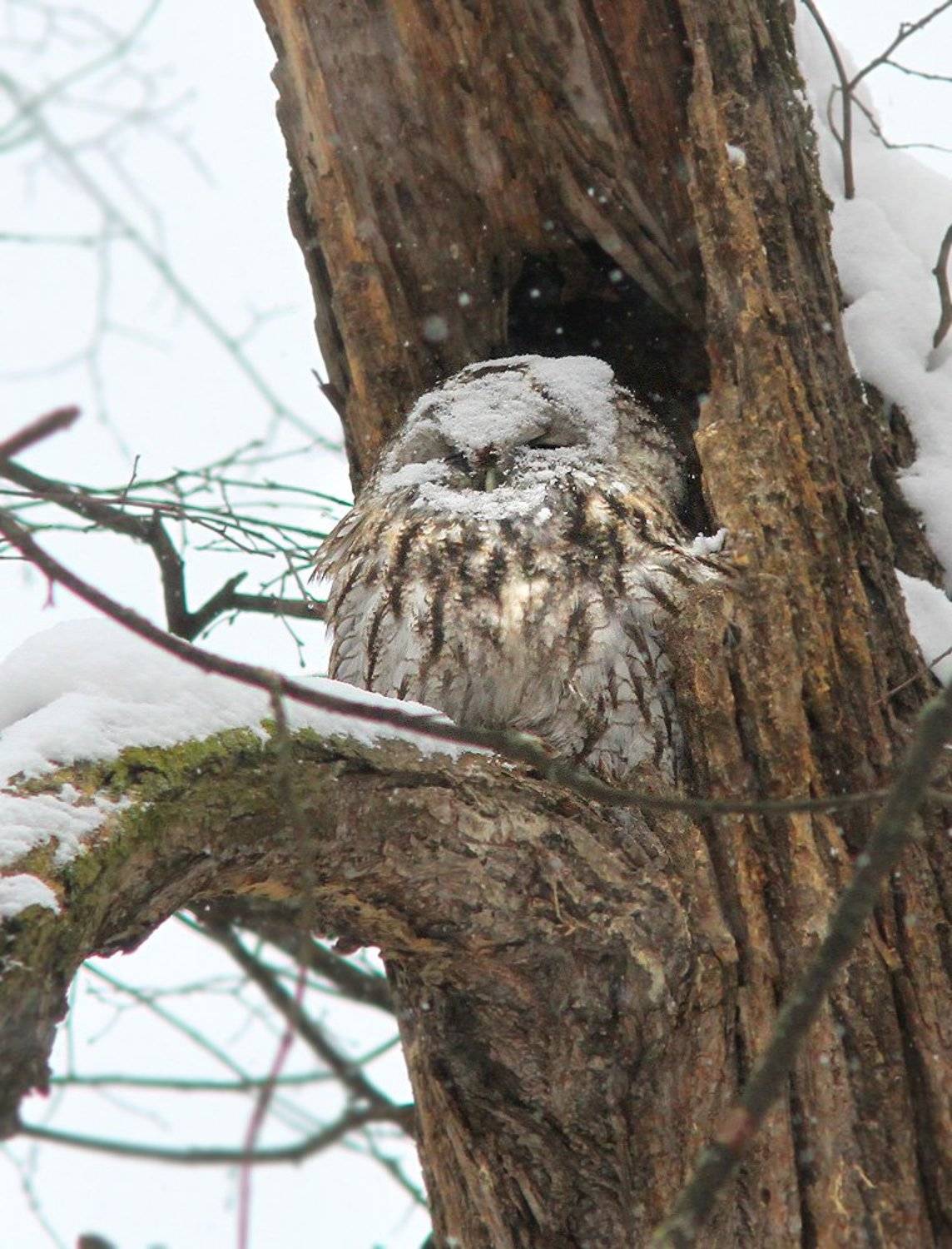 , Михаил Крюков