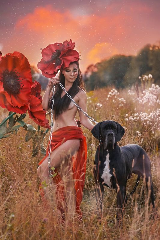 фото превью