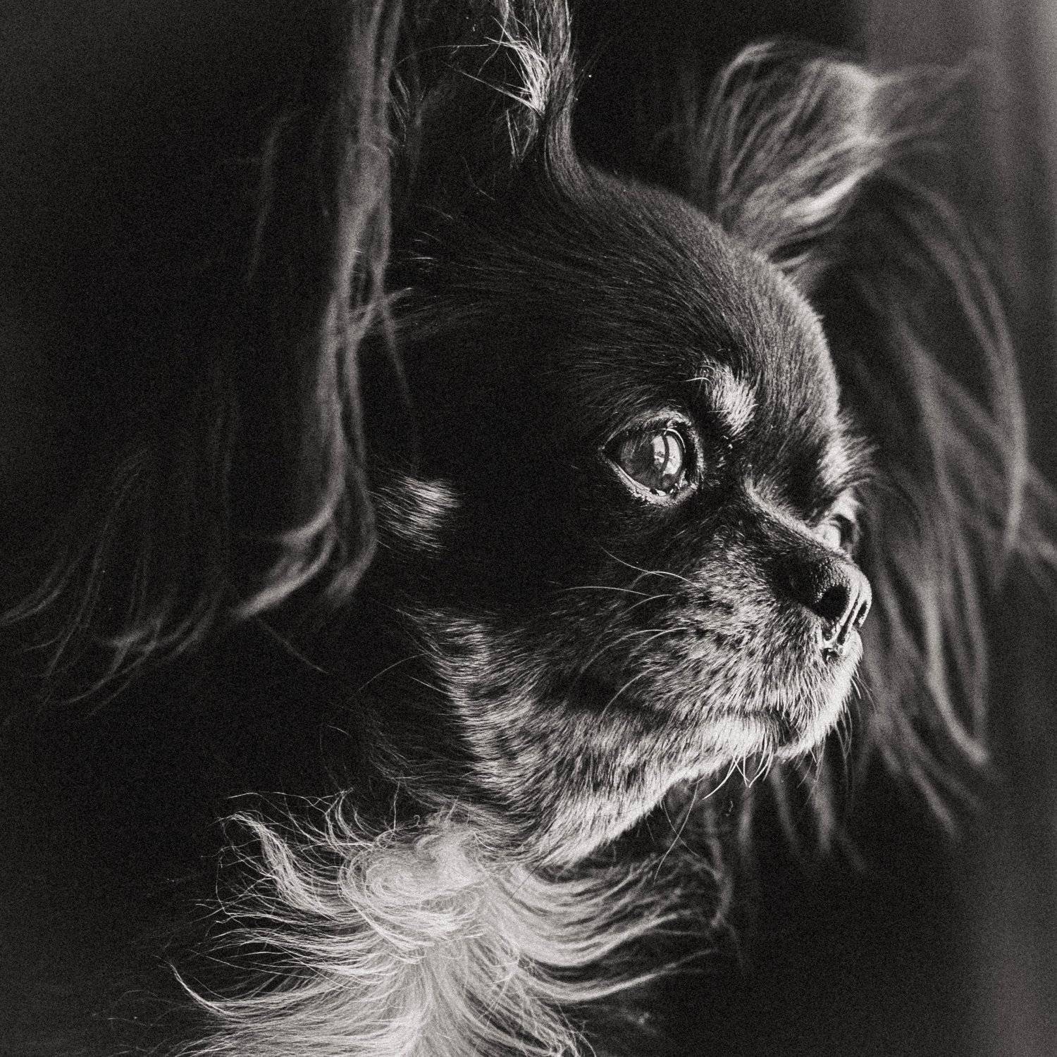 , Лариса Лофицкая