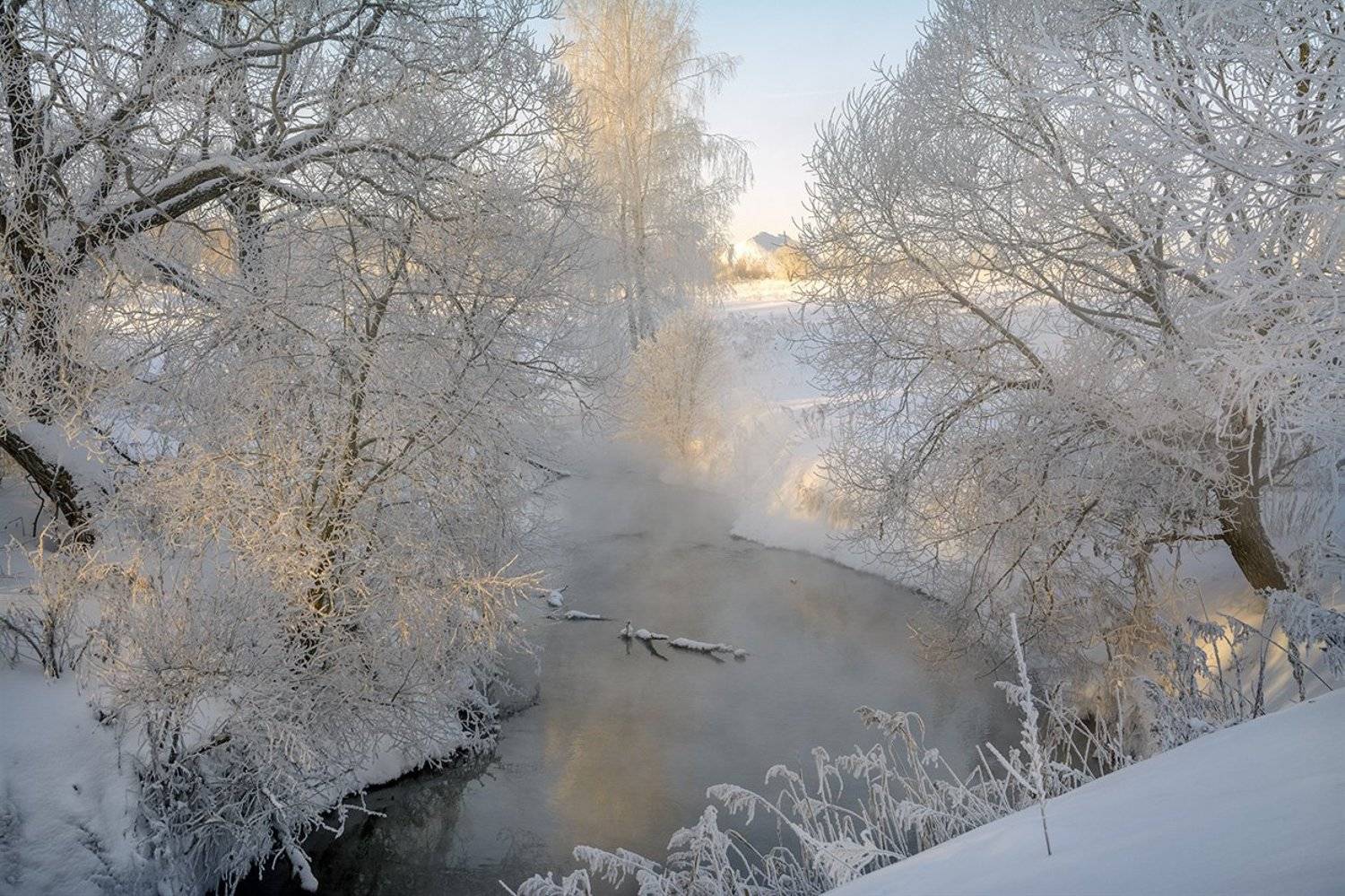 , Анатолий Зверев