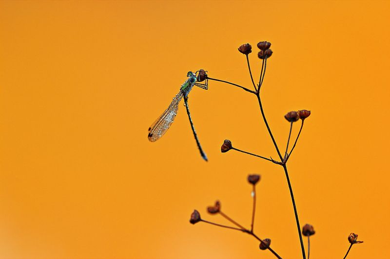 Сентябрь фото превью