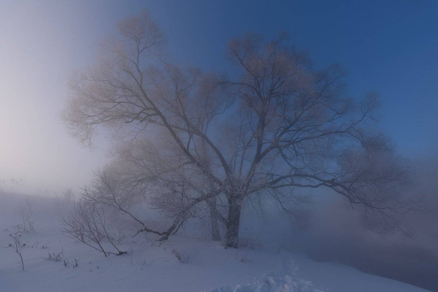 , Света и Вася