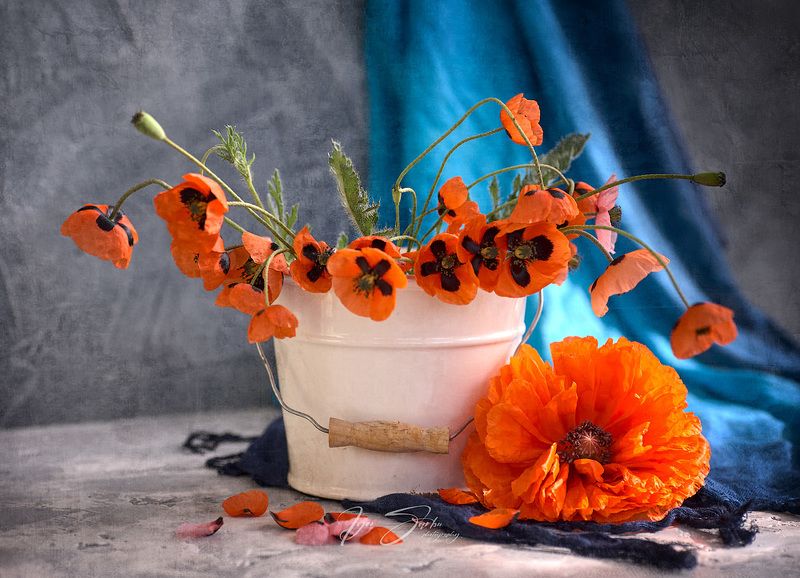 Red & blue II фото превью