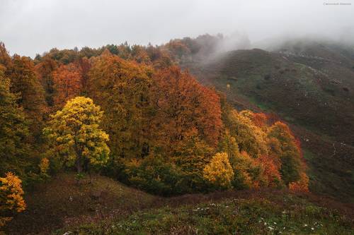 Касаясь облаков
