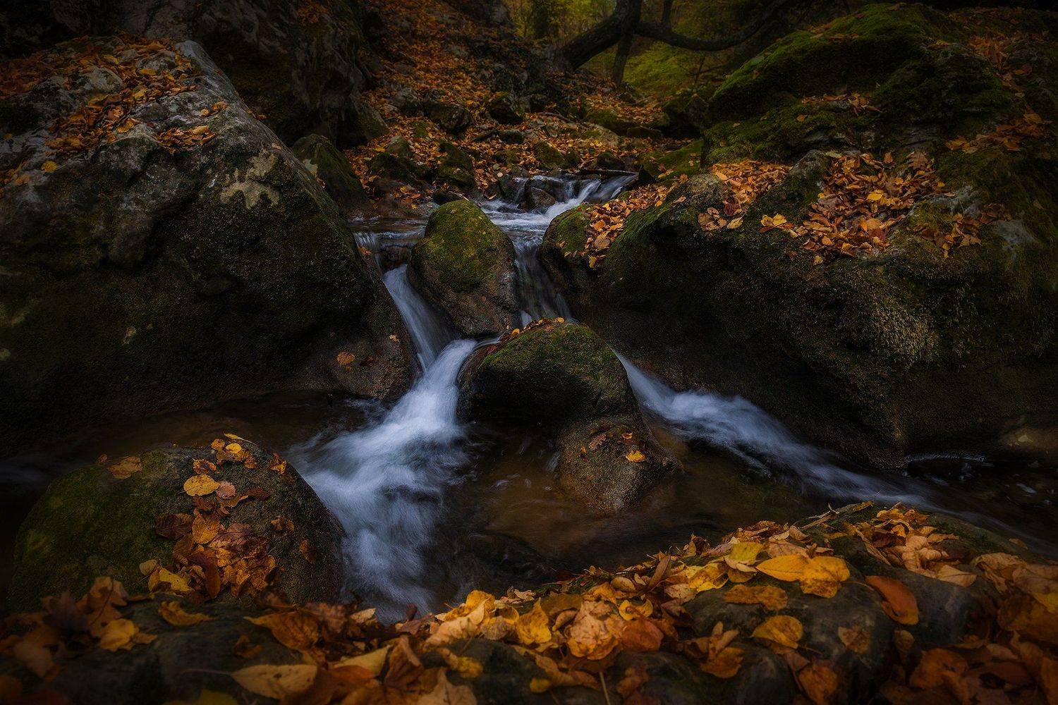 , Владимир Яковлев