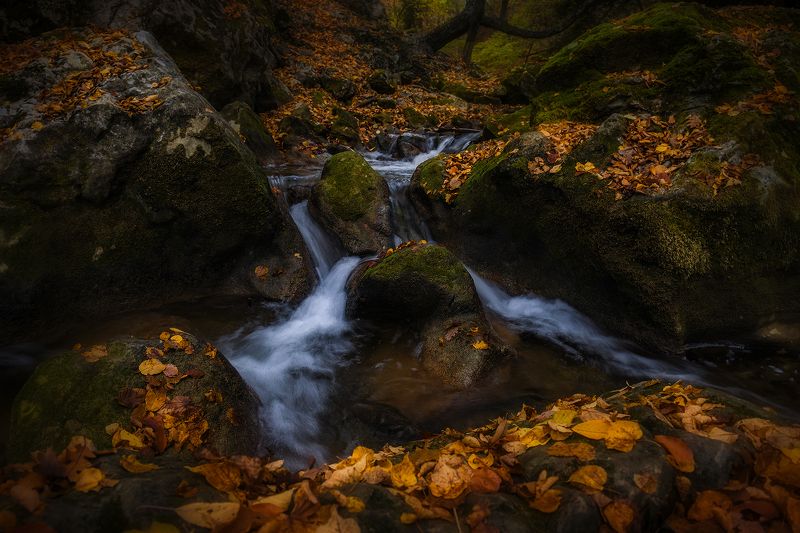 В Большом каньоне фото превью