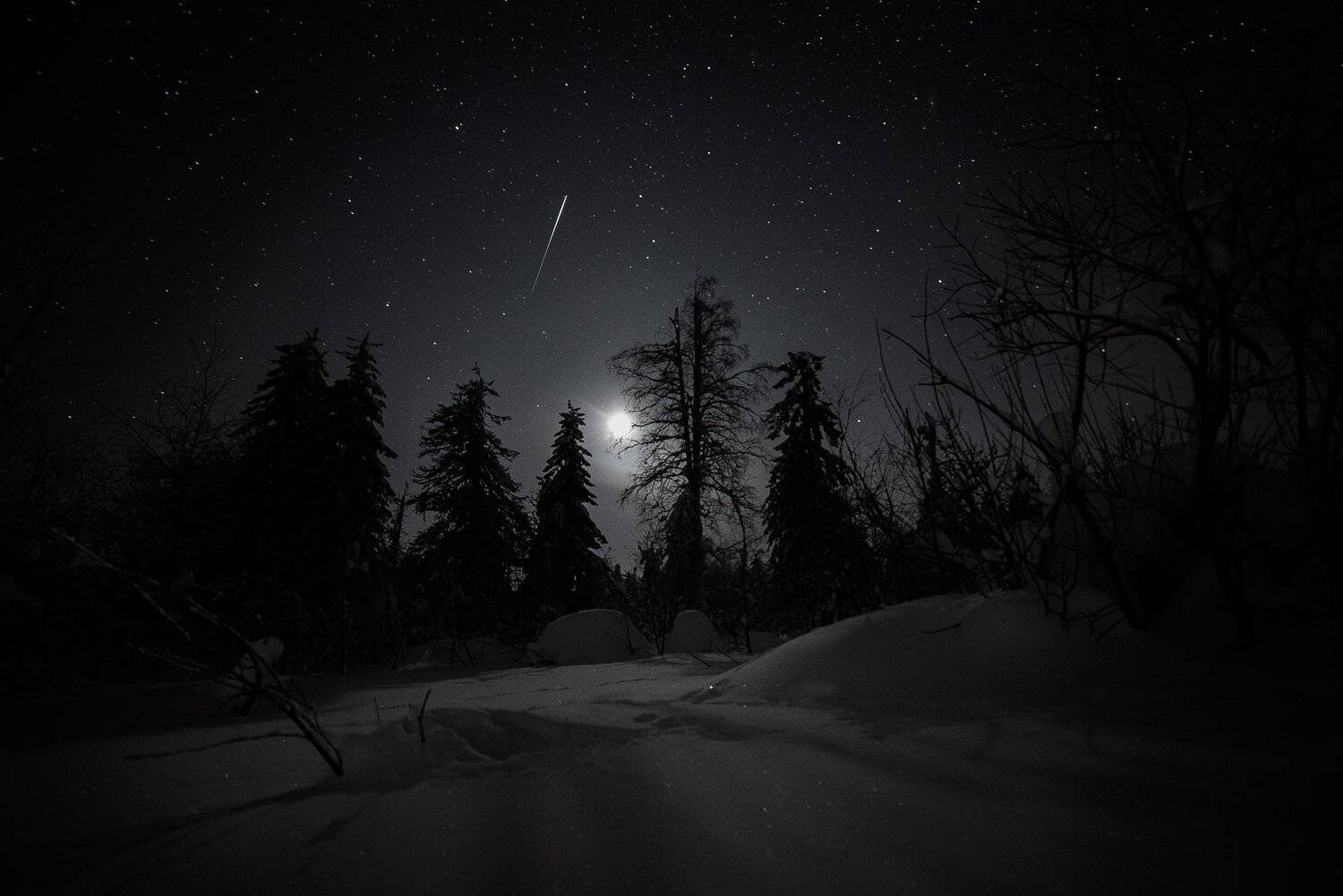 , Валерий Кучинский